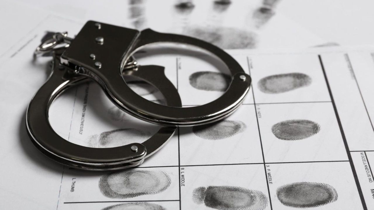 Crimen Organizado, Sicariato, Extorsión, Lavado de Activos y Delitos Conexos