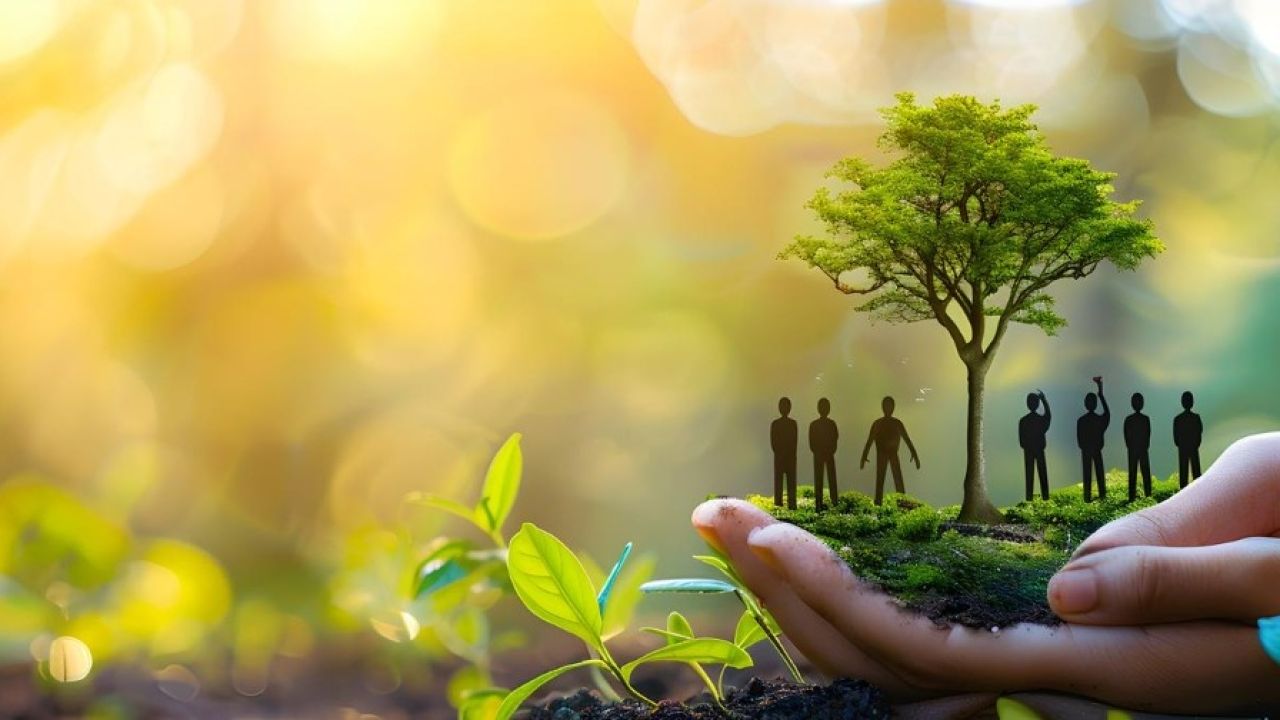 Responsabilidad Social